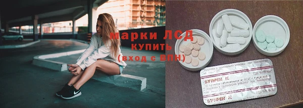 прущие грибы Абинск