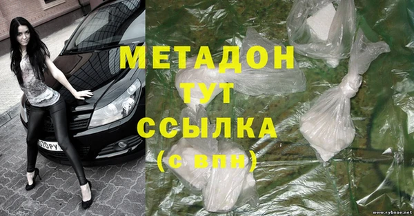 прущие грибы Абинск