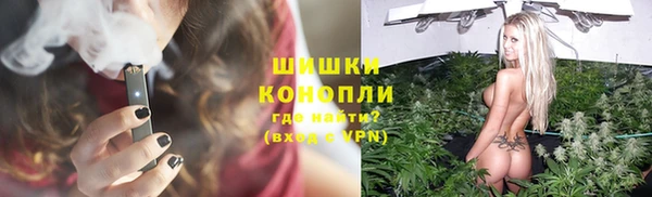 прущие грибы Абинск