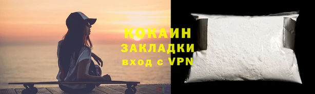 прущие грибы Абинск