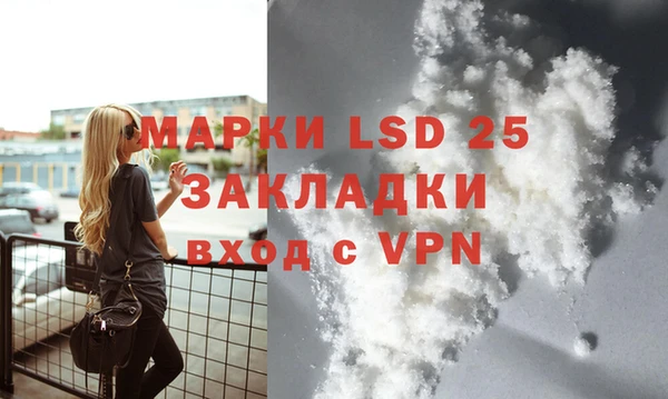 прущие грибы Абинск