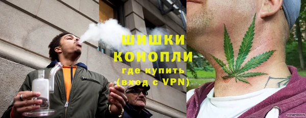 прущие грибы Абинск
